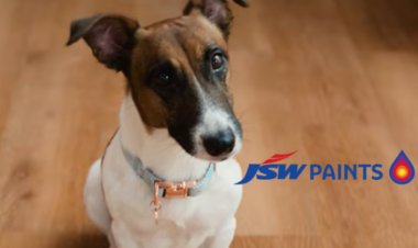 JSW Paints Launches JSW Halo Campaign Focused On Home Protection And Luxury Living