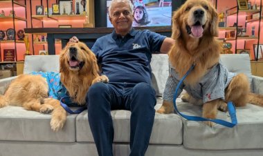 Nestlé India Appoints Golden Retrievers As Chief Happiness Officers