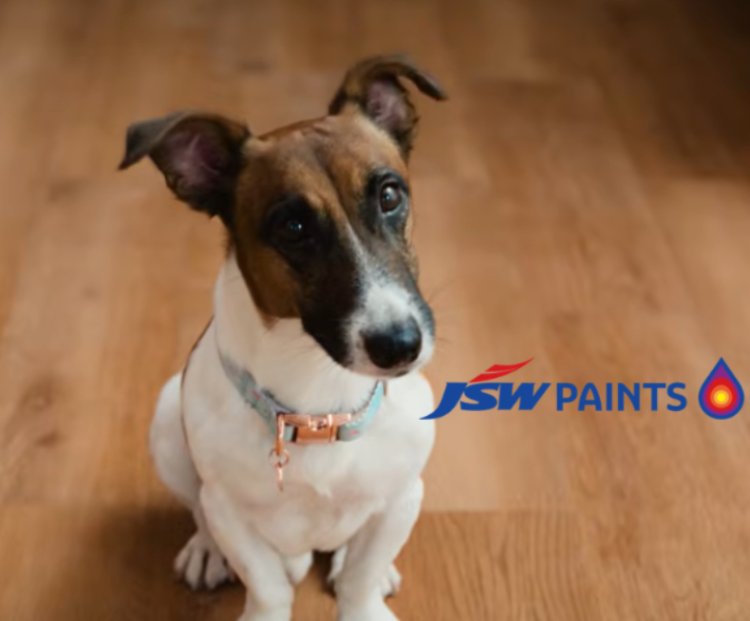 JSW Paints Launches JSW Halo Campaign Focused On Home Protection And Luxury Living