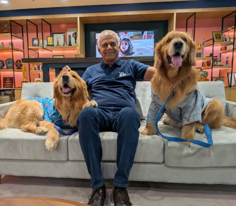 Nestlé India Appoints Golden Retrievers As Chief Happiness Officers