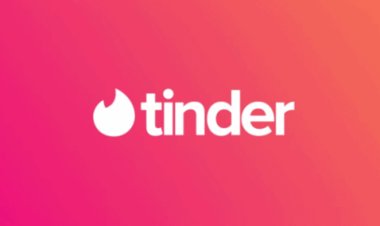 Delhi Court Flags ‘Honeytrap’ Pattern in Rs 52 Lakh Tinder Scam Case