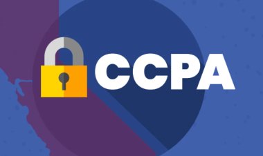 CCPA Fines Storia, Mrs. Bectors Over Misleading ‘100%’ Product Claims