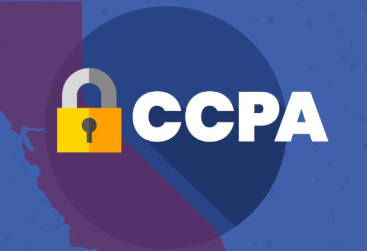 CCPA Fines Storia, Mrs. Bectors Over Misleading ‘100%’ Product Claims