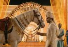 Fibe Unveils AI-Powered ‘Jiyo Full Size’ Campaign