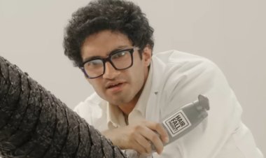 Sebamed Debunks Hair Fall, Hair Loss Confusion in New Digital Campaign