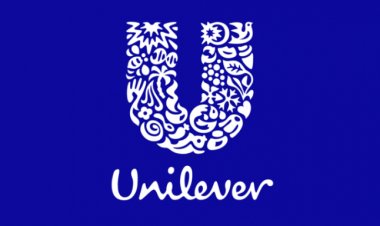 HUL Posts Strongest Quarterly Growth in Over 3 Years