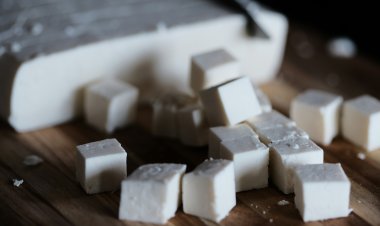 Maharashtra Bans Fake Paneer, Violators Face ₹1 Lakh Fine