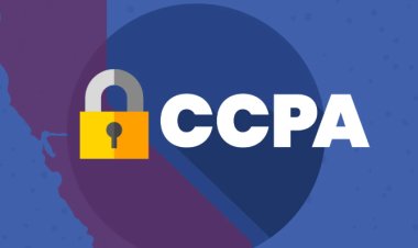 CCPA Fines Zepto, BookMyShow, IndiGo, Physics Wallah Over Dark Patterns